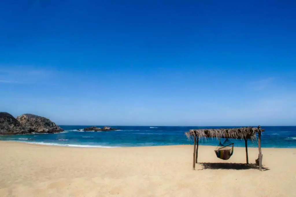 Mayto Food Tour Playa Mayto Mexico Mayto Food Tour Playa Mayto Mexico