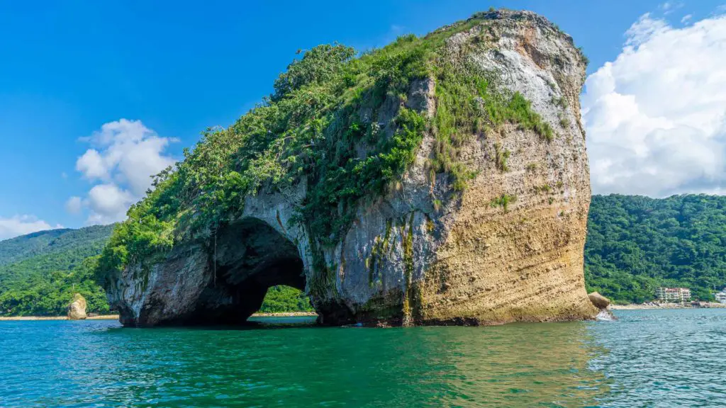 Snorkeling Los Arcos Marine Park Puerto Vallarta