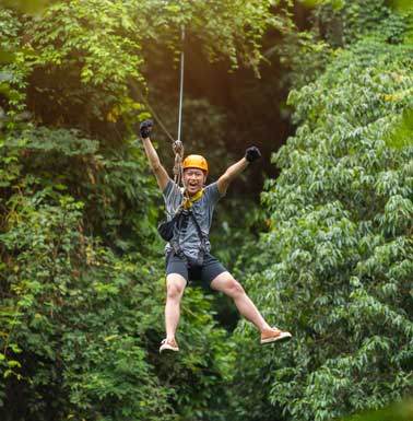 Zipline Canopy Tours