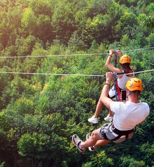 Zipline Tour